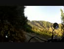 通勤用モッサーで林道に行ってみた　vol.3