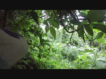 OKINAWA Survival Game day11/17