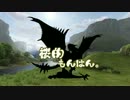 【MHF実況】 桜的もんはん。G 【２狩り目】