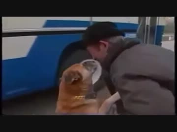 老人とマツ