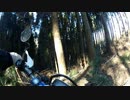 通勤用モッサーで林道に行ってみた　vol.4