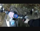 通勤用モッサーで林道に行ってみた　vol.5