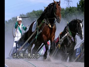 ゆっくり動物雑学「ばん馬の馬力は…」