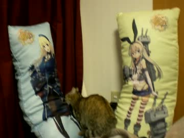 拾いねこ＠生後527/494日目　匠さん誕生日という、そんな冬の日