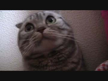 姫の可愛い口元を観賞