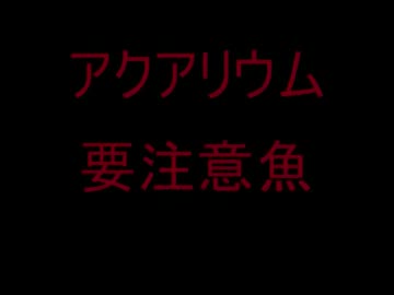 アクアリウム　要注意魚種