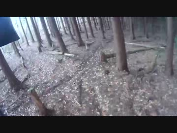 トリッカーからセロー225WEに乗り換えてかんたんにインプレしてみた。