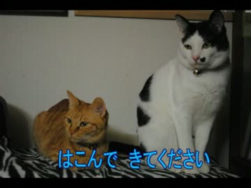 なかよし。