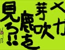 これが…超(メガ)メブキジカ！カヤ編Part1【ポケモンＸＹ対戦実況】