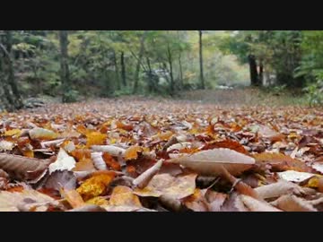 【少ないなぁ】2013　ツーリングまとめ【のんびりセローで】