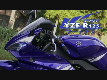 YZF-R125にサイドバッグを付けてみた