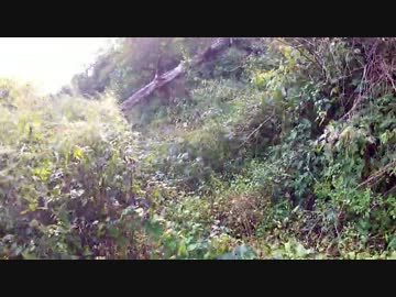 【日本最凶険道】開かずの富山県道54号線＠2013－PART3