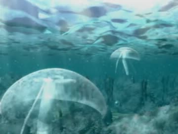 あの少年の日々をもう一度　『ぼくのなつやすみ２』実況プレイ part7