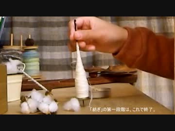 【突発突貫】もめん紡ぎのその１【撮ってみた】