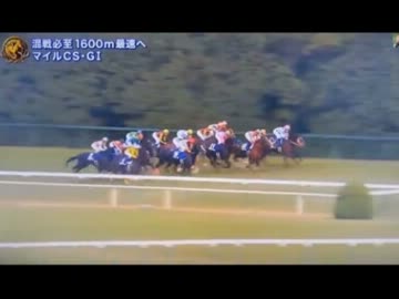 【永井先生】有馬記念に向けてオルフェーブル考察（2013/12/15）