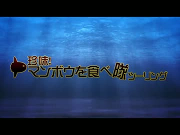 【GSR250】珍味マンボウを食べ隊ツーリング!!【バイク車載】