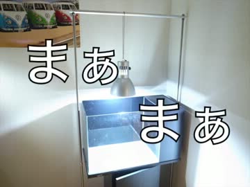 俺流アクアリウムの作り方　パート１