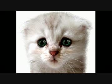 【ベトナム戦争】 韓国の民間人がベトナム人女性を強制連行 売春婦に