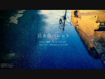 【NNIオリジナル】 泣き虫パレット 【ポケットリズム】