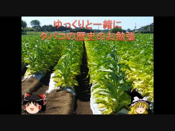 ゆっくりと一緒にタバコの歴史のお勉強