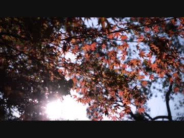 つちのなか / colobs