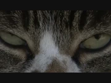 母と姉の新居へ