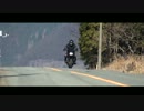 2013年活動記録