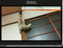 セミになるねこ