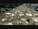 【Skyrim】お勧めフォロワー紹介みたいなの【単発動画】