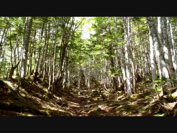 日本百名山に登ってみた93・94-1/5　悪沢岳・赤石岳編