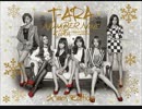 T-ARA　Party Non Stop Remix