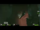 【実況】ぼっちじゃない！二人でL4D2　遊園地編　part2