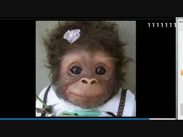 【神回】 すぎるのニコ生　12月21日