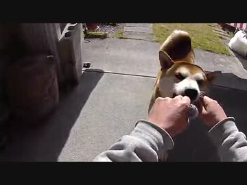 最初からいくぞー