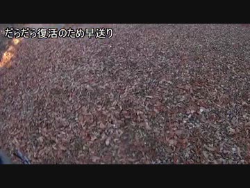 [オアシス]猫のサバゲ[ミッション２]