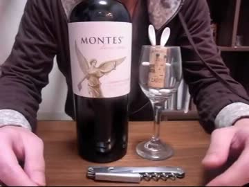 暇なので、ソムリエナイフの使い方を解説します