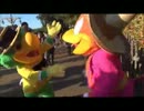 【TDS】パンチートの誕生日をお祝いしてみた【12/21】