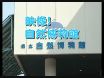 ホモと学ぶシャコ