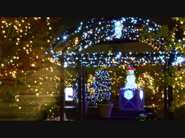 どうせ結婚できないし、クリスマス前にソロキャンプでもすっか前編