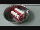 愛犬ナナと暮らしましょう（1年と256日目）～メリークリスマス～
