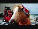 南の島のクリスマスツーリング