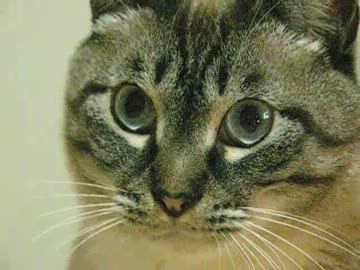 パパが必死に愛を伝えて、ジャンくんがそれなりに返す