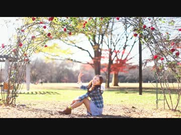 【みっちゃら】lllトゥルティンアンテナlll 踊ってみた〈ガオーッ！！〉