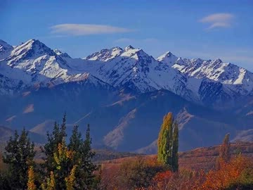 アイドル達と昭和日本 外伝 「ある補給科将校の見た日蘇戦争」新たなる