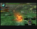 【実況】MHP3.HDverをぐだっと縛りプレイ part11【村ｸｴ】