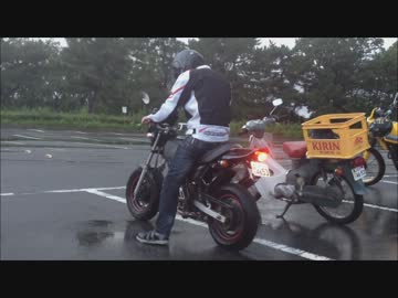 【げんつき！】エイプといっしょ！【Daiちゃん】