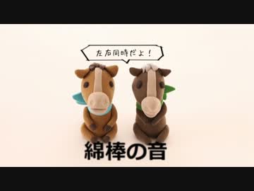 【左右同時】綿棒の音＋梵天