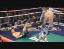 【総集編】Boxing 2013年 Highlights