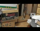 猫（つゆ）との遊び動画　犬みたいな遊び