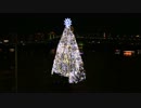 デックス東京ビーチ 第18回　台場メモリアルツリー